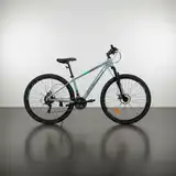 Bicicleta Mtb R29 Firebird Shie Damas 21v Aluminio Equipamiento Shimano