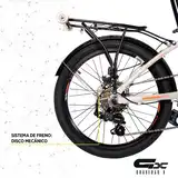 Bicicleta Plegable Raleigh R20 6v Freno Disco Ste