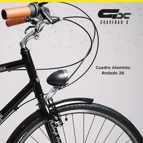 Bicicleta Raleigh Paseo Nexus R28 3v Aluminio