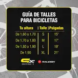 Bicicleta Mtb Raleigh Mojave 4.0 R29 F Hidráulico