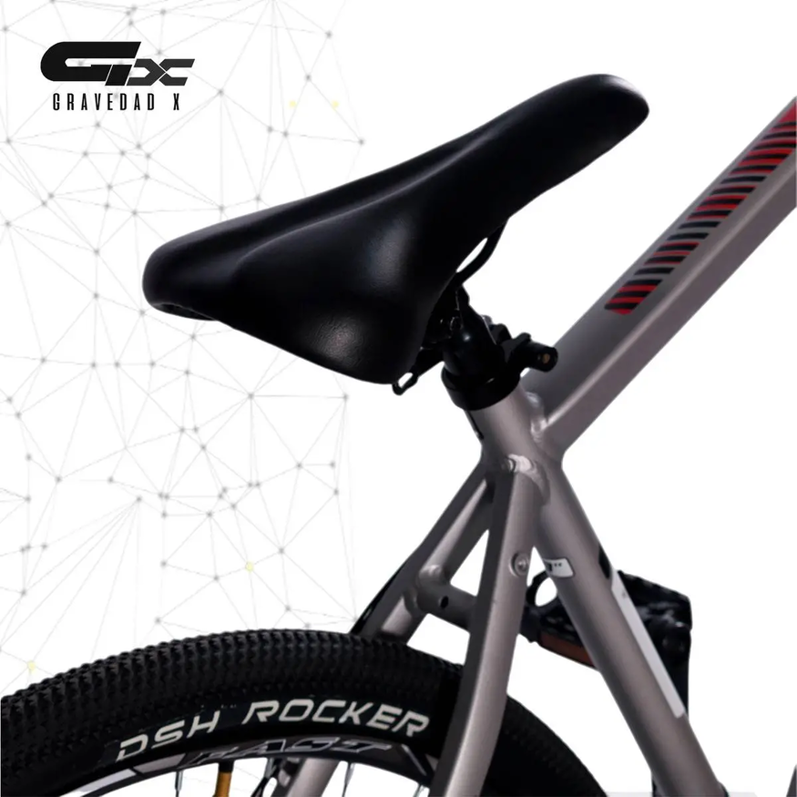 Bicicleta Firebird Mtb R29 MGPP 21v Aluminio F/disco Suspensión Delantera