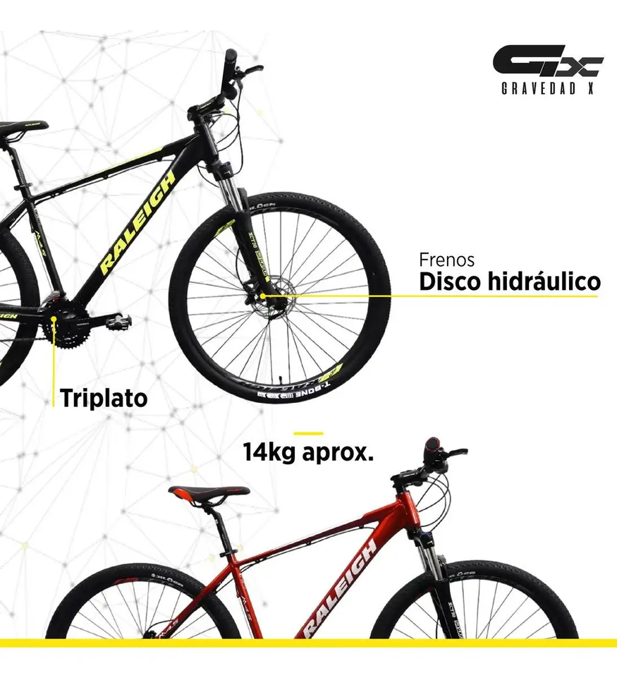 Bicicleta Mtb Raleigh Mojave 4.5 R29 24v