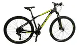 Bicicleta Mtb Raleigh Mojave 4.0 R29 F Hidráulico