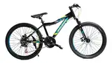Bicicleta Mtb Raleigh Scout R24 21v Freno Disco