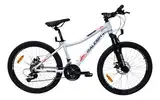 Bicicleta Mtb Raleigh Scout R24 21v Freno Disco