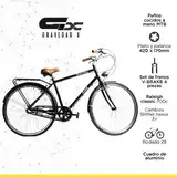 Bicicleta Raleigh Paseo Nexus R28 3v Aluminio