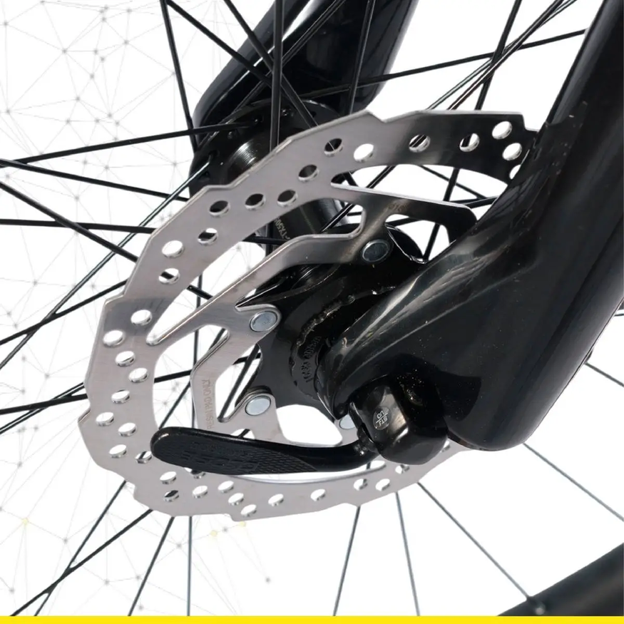 Bicicleta Raleigh R29 Mojave 5.0 Monoplato 12v Freno Hidráulico