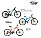 Bicicleta Mtb Raleigh Scout R24 21v Freno Disco