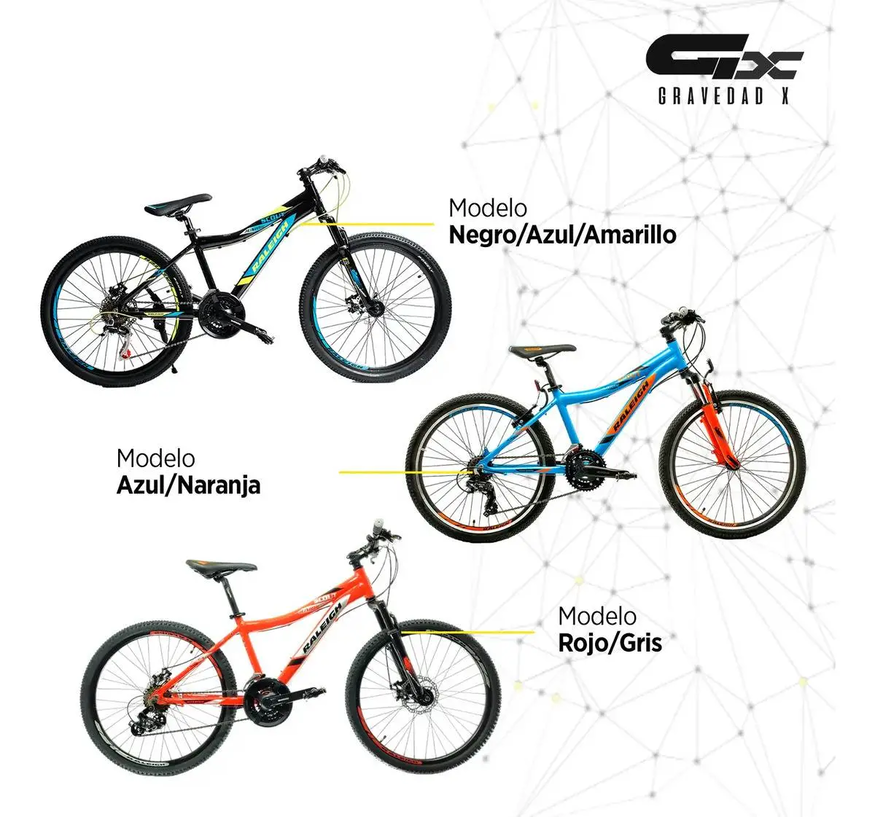 Bicicleta Mtb Raleigh Scout R24 21v Freno Disco
