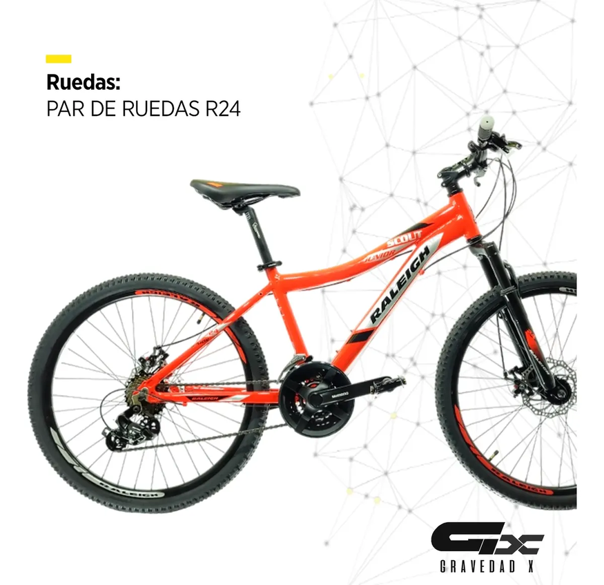 Bicicleta Mtb Raleigh Scout R24 21v Freno Disco