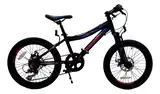 Bicicleta Mtb Raleigh Rowdy R20 7v Freno Disco