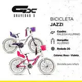Bicicleta Raleigh Niña R20 6-12 Años Jazzi