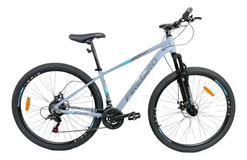 Bicicleta Mtb R29 Firebird Shie Damas 21v Aluminio Equipamiento Shimano