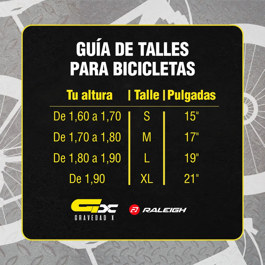 Bicicleta Mtb R29 Raleigh Mojave 2.0 21v Aluminio Shimano