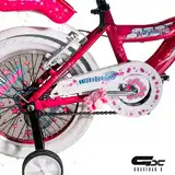 Bicicleta Raleigh Niña R16 4-6 Años Lilhon