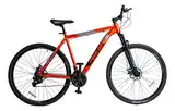 Bicicleta Firebird Mtb R29 MGPP 21v Aluminio F/disco Suspensión Delantera