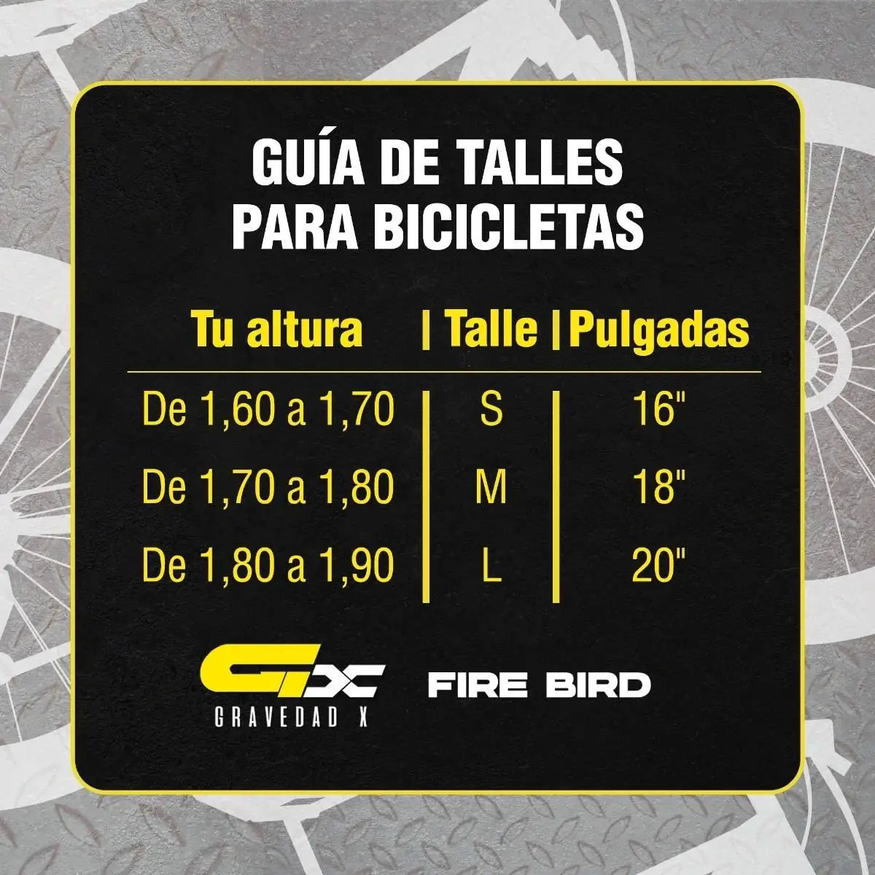 Bicicleta Mtb Firebird R29 Alum 24v D Hidráulico