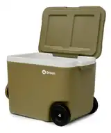 Heladera Conservadora Térmica 45 L Playa Camping