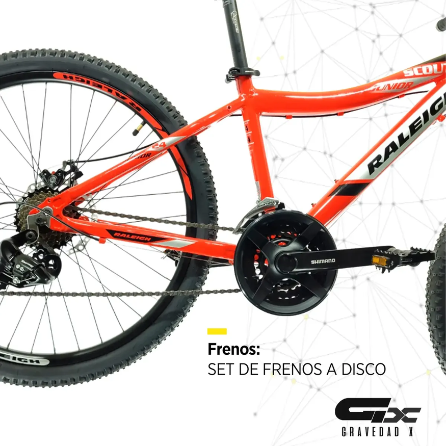 Bicicleta Mtb Raleigh Scout R24 21v Freno Disco