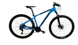 Bicicleta Mtb Raleigh Mojave 4.5 R29 24v